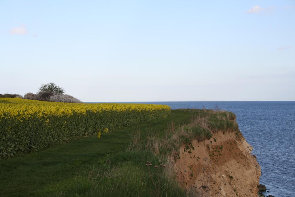 Stevns Klint Strandpension Ξενοδοχείο Rødvig Εξωτερικό φωτογραφία